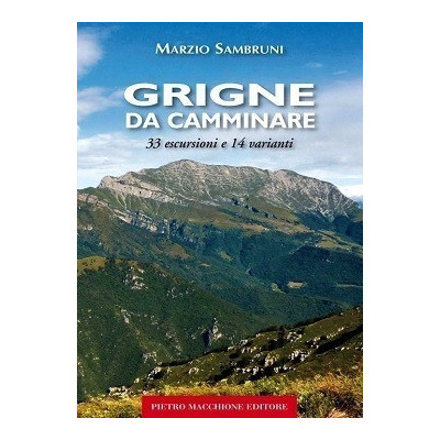 Grigne da camminare