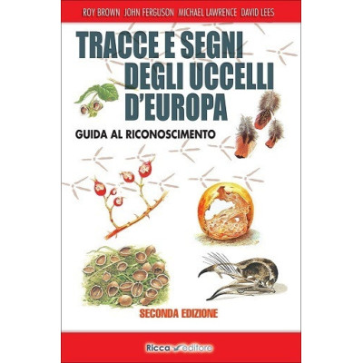 Tracce e segni degli...