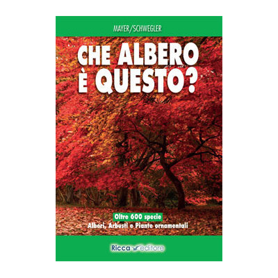Che albero è questo?
