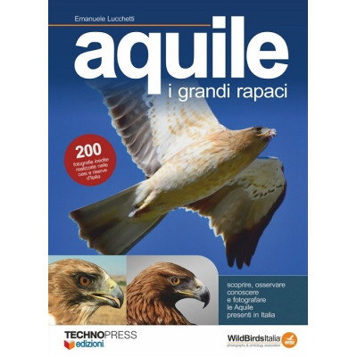 Aquile i grandi rapaci