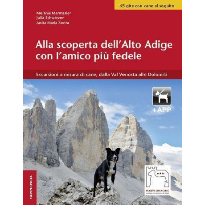 Alla scoperta dell'Alto...