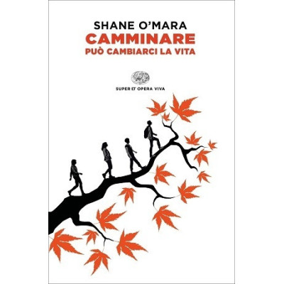 Camminare può cambiarci la...