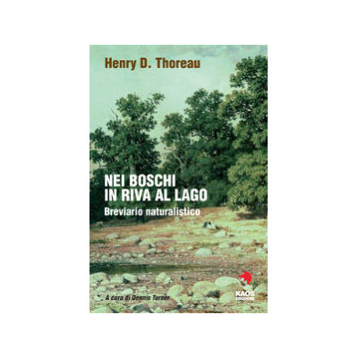 Nei boschi in riva al lago