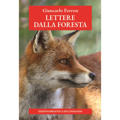 Lettere dalla foresta