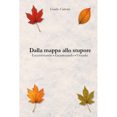 Dalla mappa allo stupore....