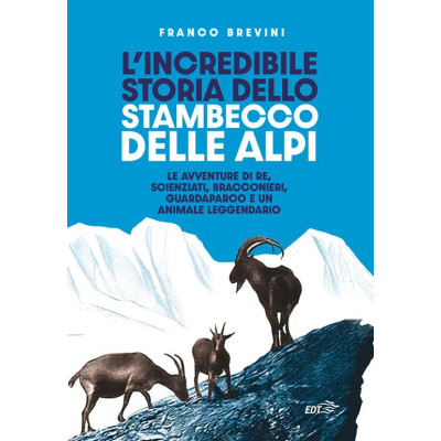 L'incredibile storia dello...