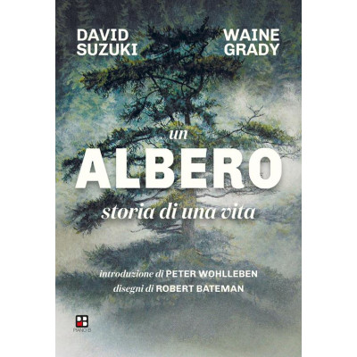 Un albero. Storia di una...