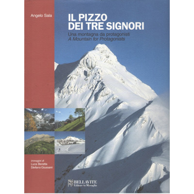 Il Pizzo dei Tre Signori....