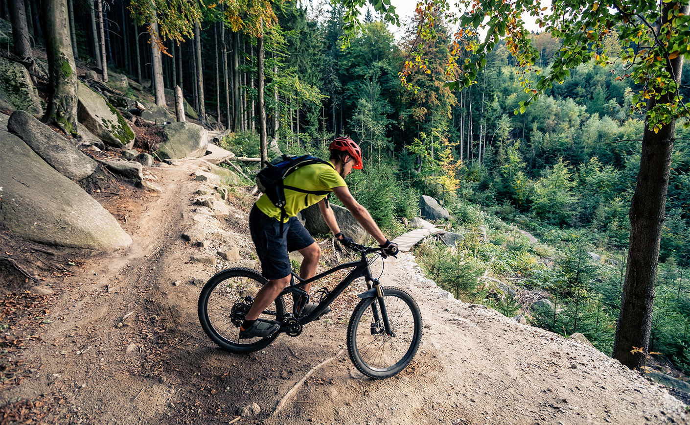 I Migliori Itinerari per la Mountain Bike: Esplora la Natura su Due Ruote